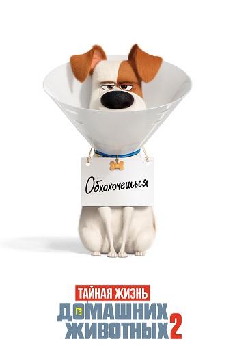 Смотреть Тайная жизнь домашних животных 2